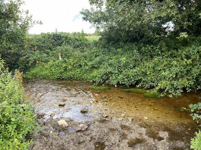 Ballinree, Corries Cross, Bagenalstown, Carlow