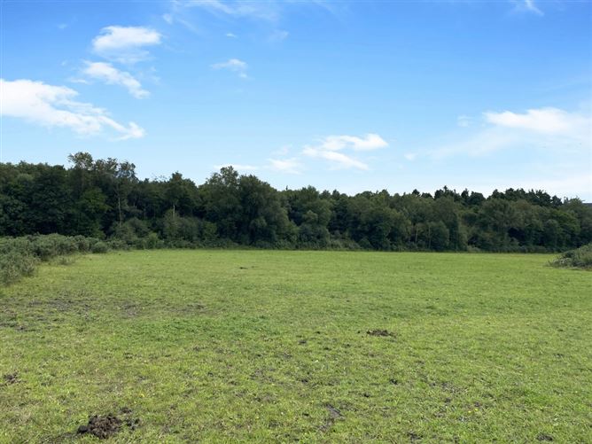 Ballinree, Corries Cross, Bagenalstown, Carlow