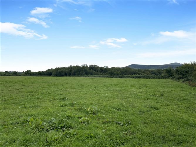 Ballinree, Corries Cross, Bagenalstown, Carlow