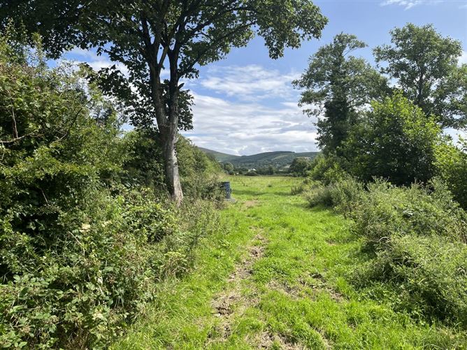 Ballinree, Corries Cross, Bagenalstown, Carlow