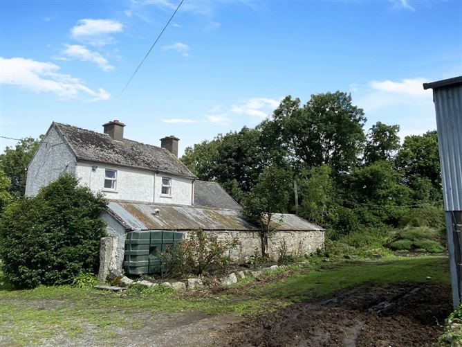 Ballinree, Corries Cross, Bagenalstown, Carlow