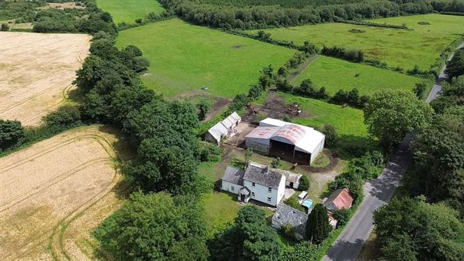 Ballinree, Corries Cross, Bagenalstown, Carlow
