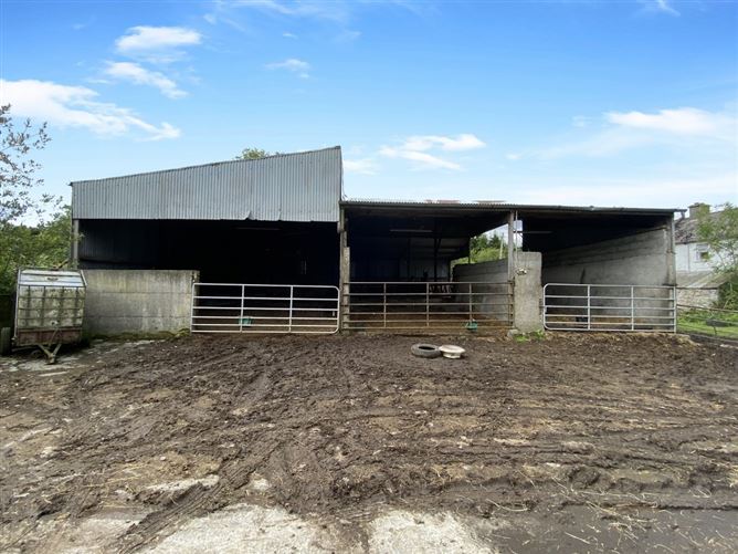 Ballinree, Corries Cross, Bagenalstown, Carlow