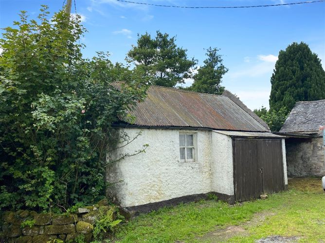 Ballinree, Corries Cross, Bagenalstown, Carlow