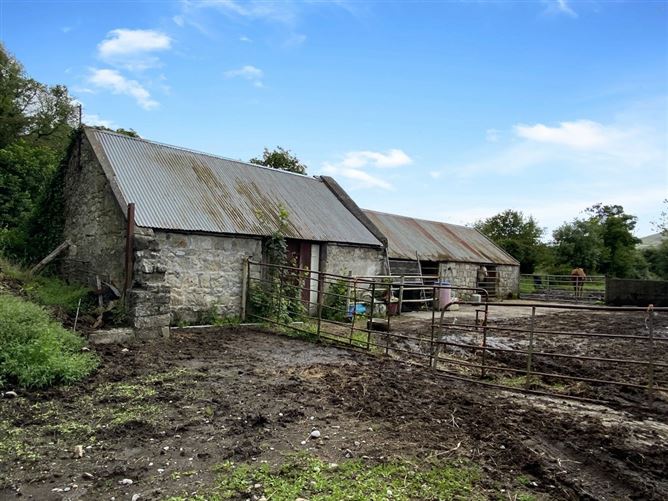 Ballinree, Corries Cross, Bagenalstown, Carlow