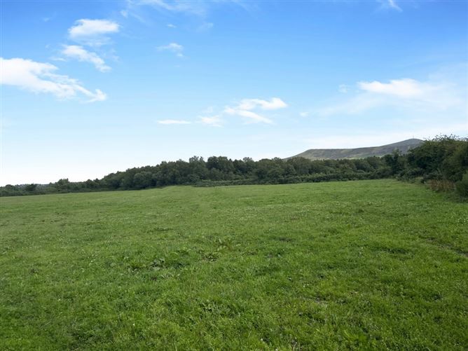 Ballinree, Corries Cross, Bagenalstown, Carlow