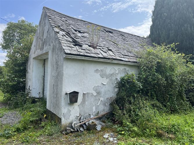 Ballinree, Corries Cross, Bagenalstown, Carlow