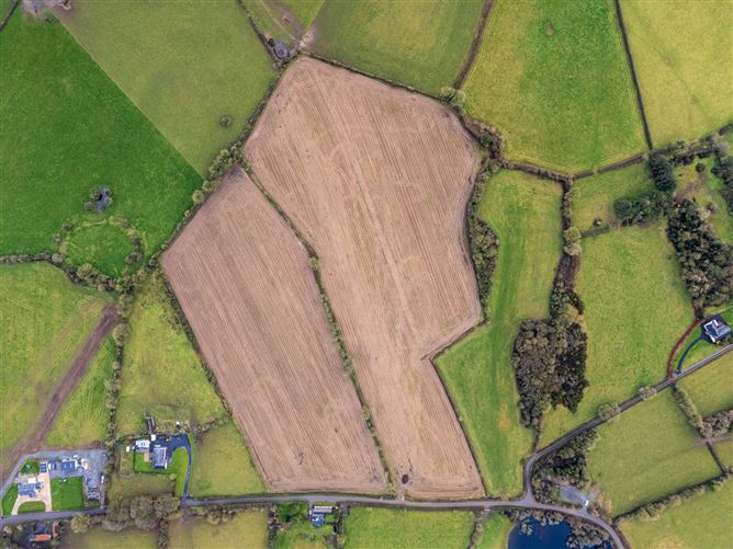 Lands At Lisnacush, Lanesborough, Co. Longford, LD4830 & LD1124