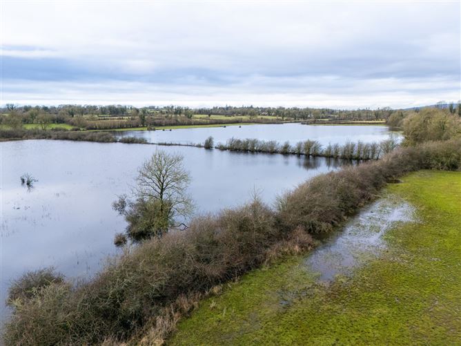 Lands At Lisnacush, Lanesborough, Co. Longford, LD4830 & LD1124