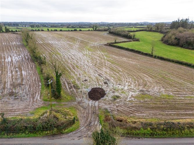 Lands At Lisnacush, Lanesborough, Co. Longford, LD4830 & LD1124