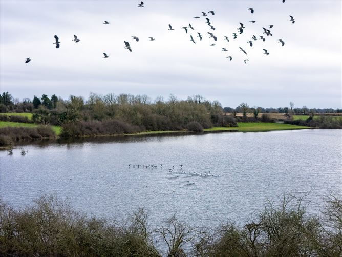 Lands At Lisnacush, Lanesborough, Co. Longford, LD4830 & LD1124