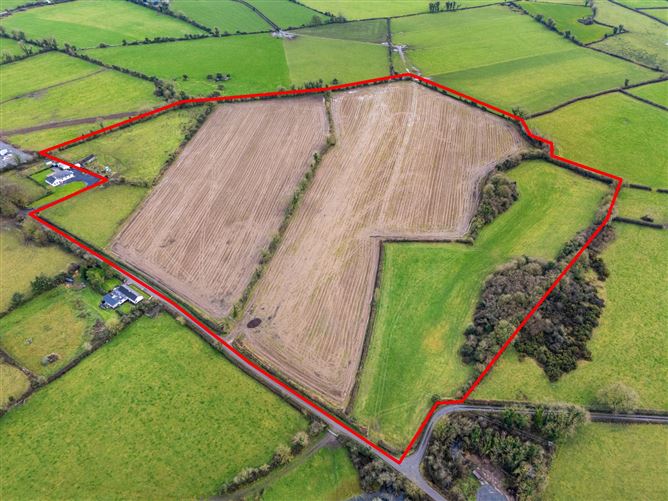 Lands At Lisnacush, Lanesborough, Co. Longford, LD4830 & LD1124