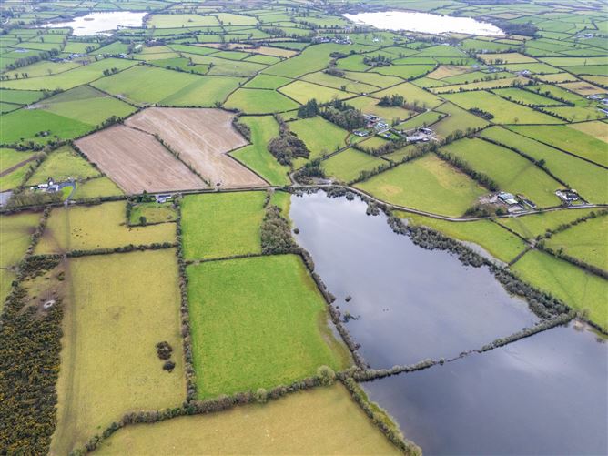 Lands At Lisnacush, Lanesborough, Co. Longford, LD4830 & LD1124
