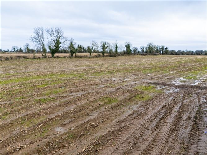 Lands At Lisnacush, Lanesborough, Co. Longford, LD4830 & LD1124