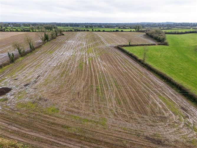 Lands At Lisnacush, Lanesborough, Co. Longford, LD4830 & LD1124