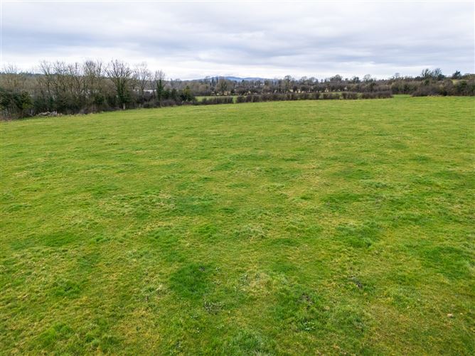 Lands At Lisnacush, Lanesborough, Co. Longford, LD4830 & LD1124