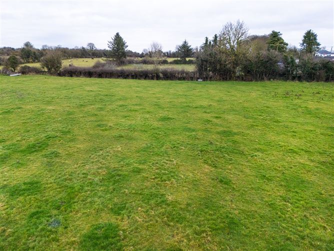 Lands At Lisnacush, Lanesborough, Co. Longford, LD4830 & LD1124