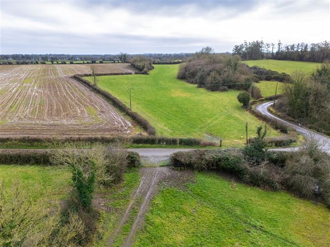 Lands At Lisnacush, Lanesborough, Co. Longford, LD4830 & LD1124