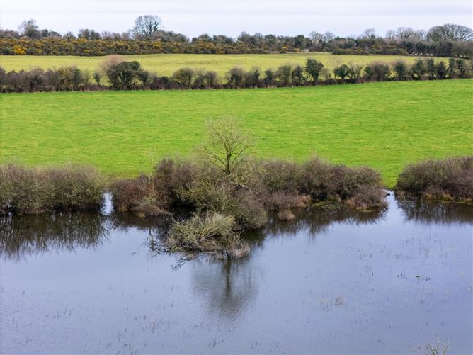 Lands At Lisnacush, Lanesborough, Co. Longford, LD4830 & LD1124