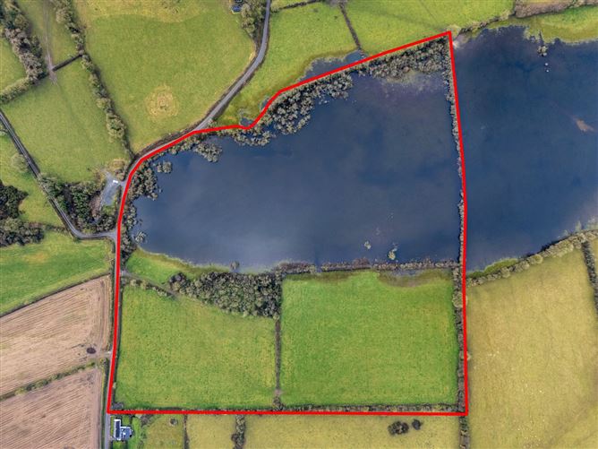 Lands At Lisnacush, Lanesborough, Co. Longford, LD4830 & LD1124