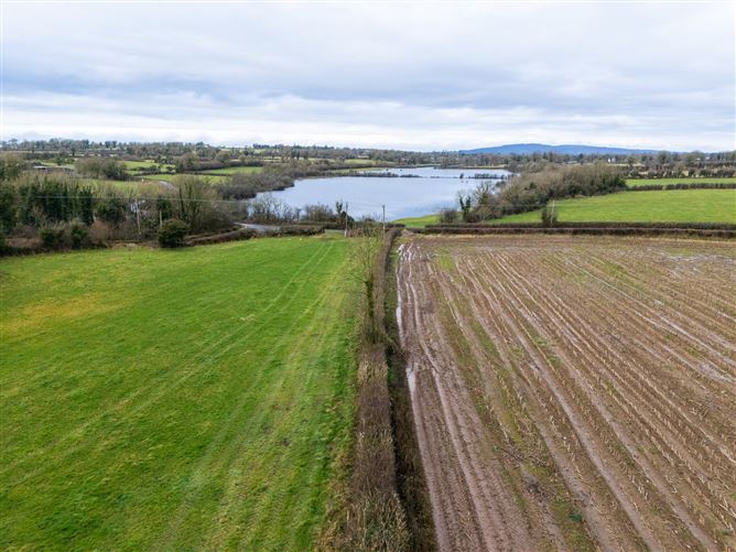 Lands At Lisnacush, Lanesborough, Co. Longford, LD4830 & LD1124