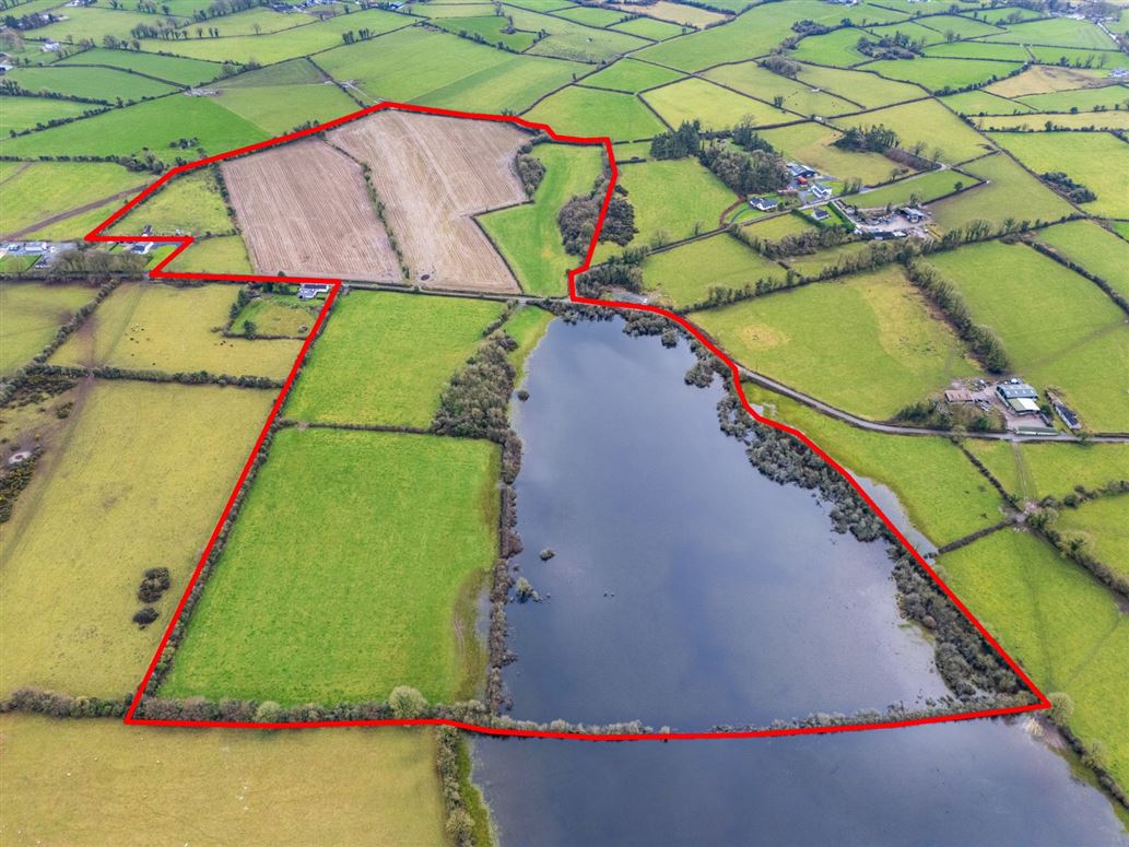 Lands At Lisnacush, Lanesborough, Co. Longford, LD4830 & LD1124