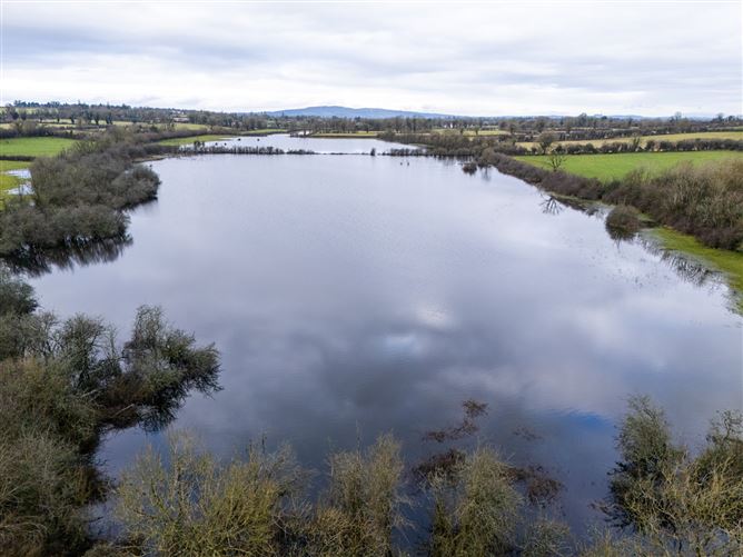 Lands At Lisnacush, Lanesborough, Co. Longford, LD4830 & LD1124