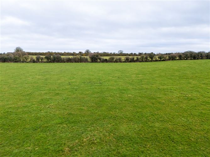 Lands At Lisnacush, Lanesborough, Co. Longford, LD4830 & LD1124