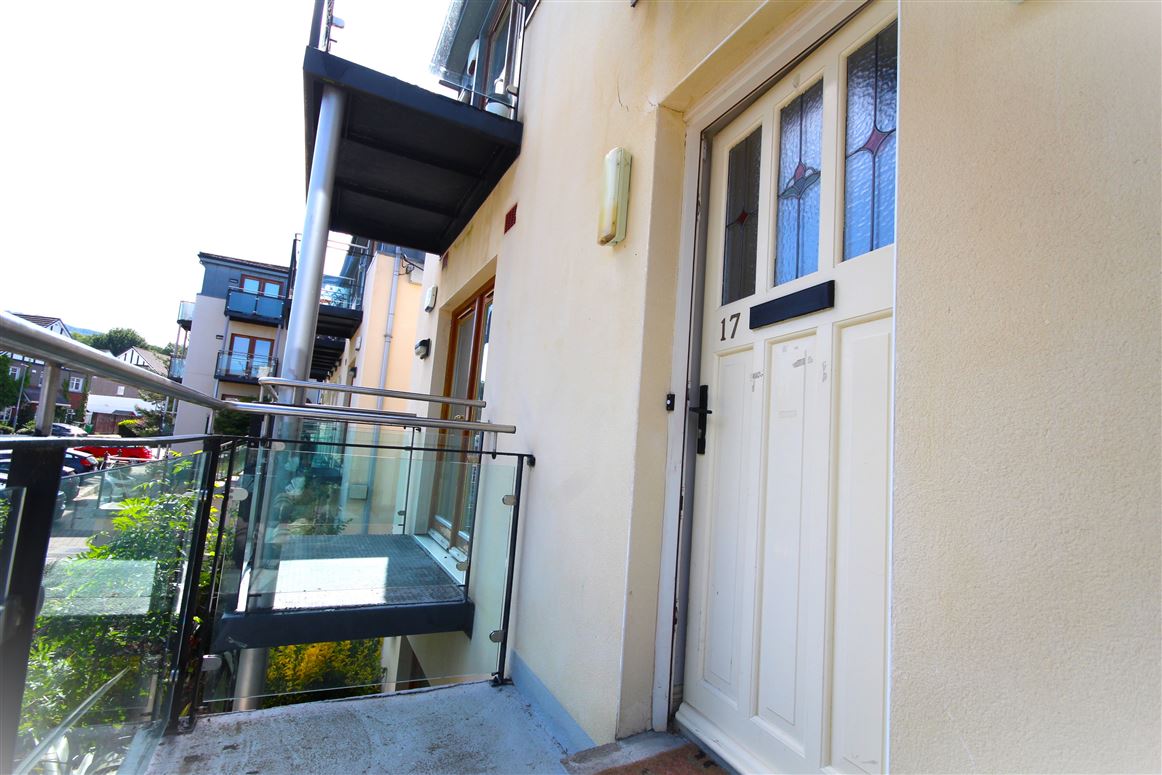 Stocking Wood Copse, Rathfarnham, Dublin 14