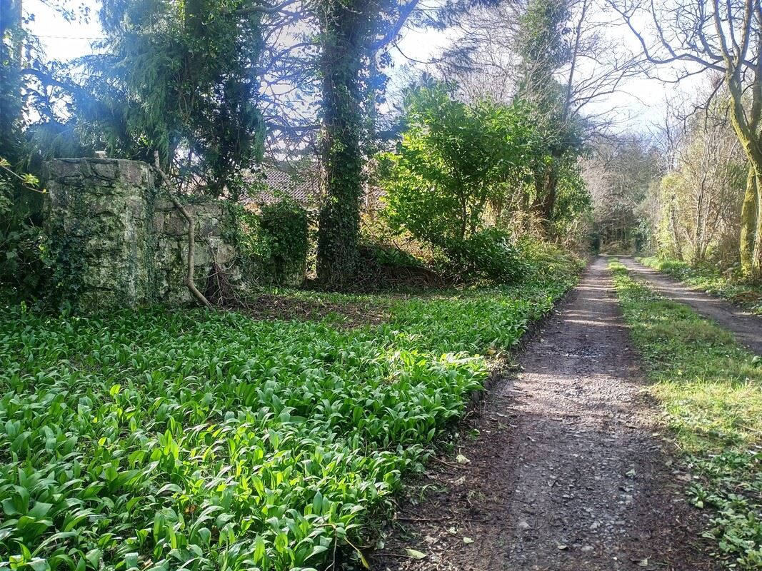 Fairy Garden -Sunny South East, "Murntown
