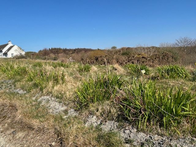 Ardeamush, Lisdoonvarna, Clare