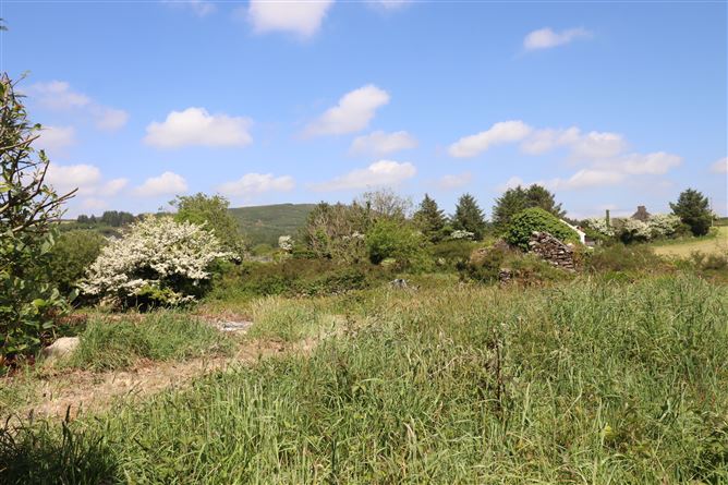 Carhoogarriff, Leap,   West Cork