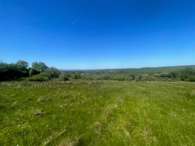 Drumminacoosaun, Peterswell, County Galway
