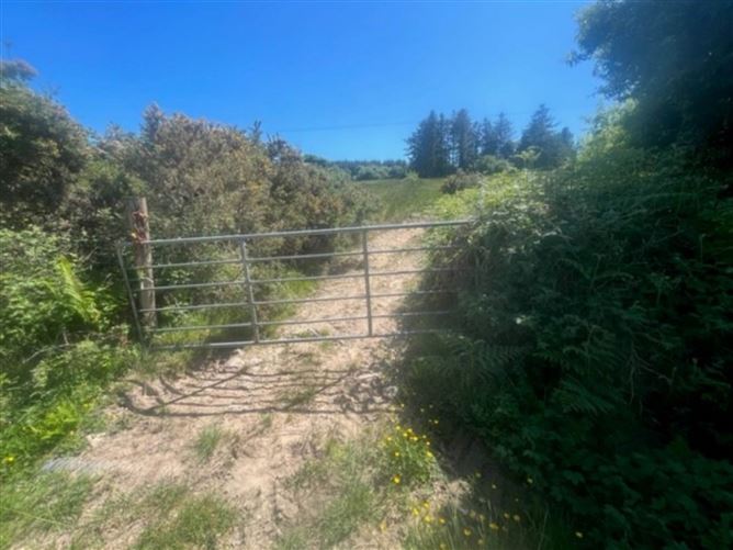 Drumminacoosaun, Peterswell, County Galway