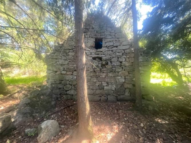 Drumminacoosaun, Peterswell, County Galway
