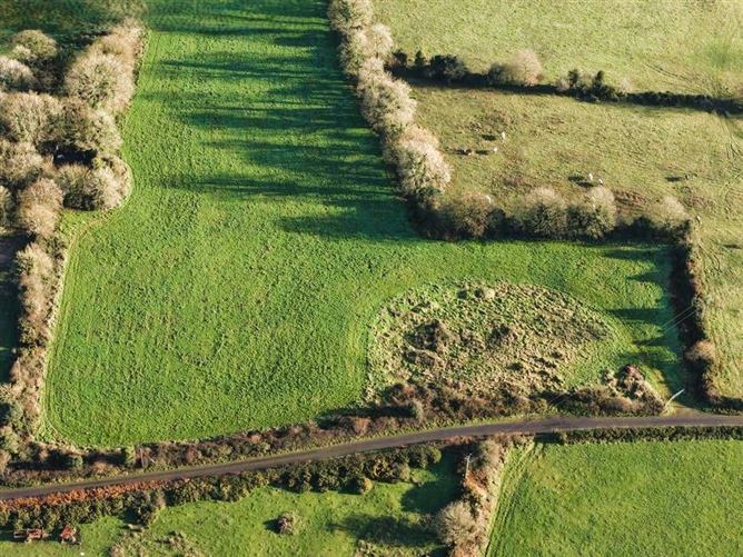 Lands The Rath, Boley, Wolfhill, Ballylynan, Co. Laois