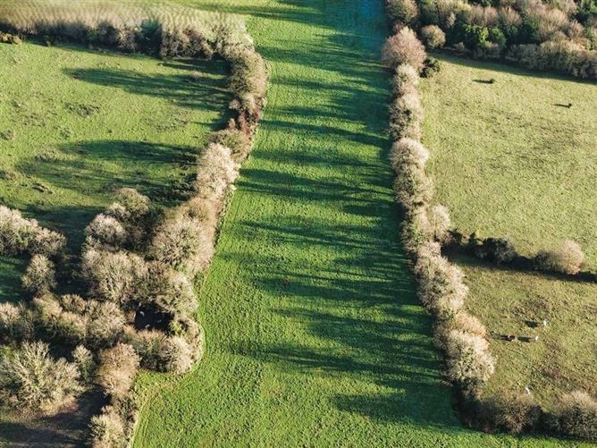 Lands The Rath, Boley, Wolfhill, Ballylynan, Co. Laois