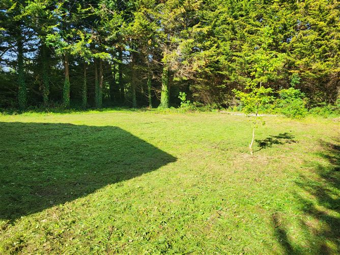 Gortletteragh, Mohill, Leitrim