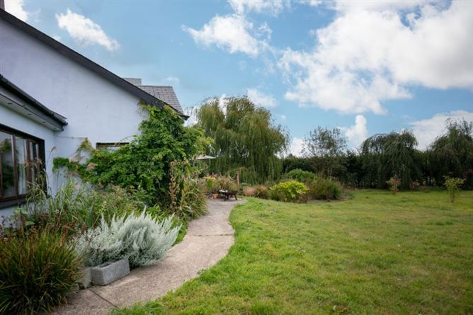 Toin Le Gaoith, Harristown, Ballymitty, Wexford