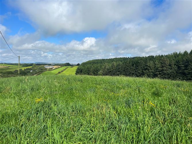 Ballyconnigar, Blackwater, Wexford