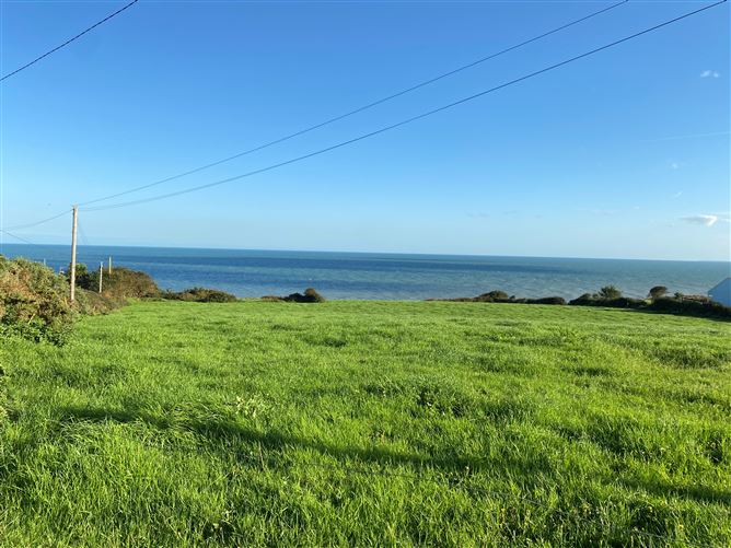 Ballyconnigar, Blackwater, Wexford
