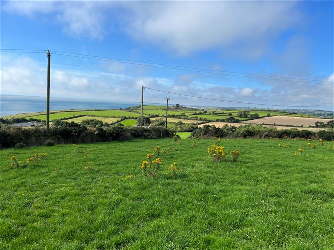 Ballyconnigar, Blackwater, Wexford