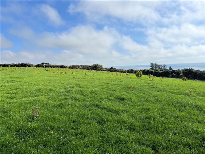 Ballyconnigar, Blackwater, Wexford