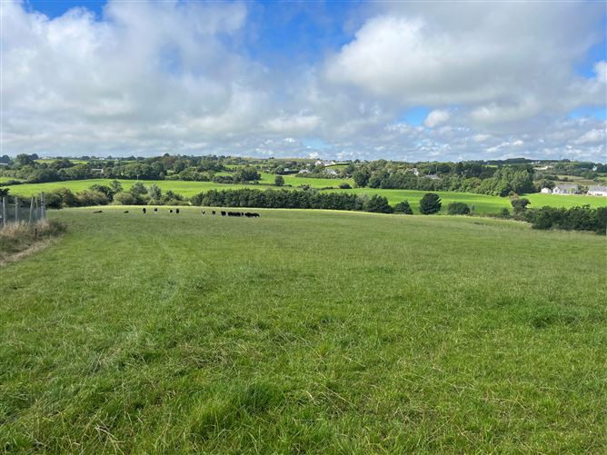 Ballyconnigar, Blackwater, Wexford