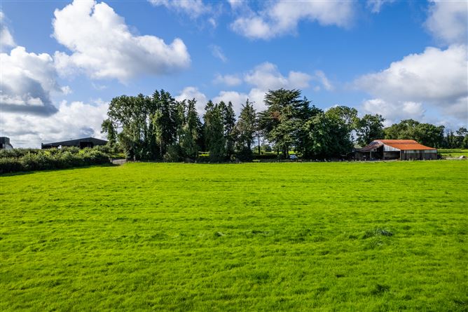 Hodgestown, Killucan, Westmeath