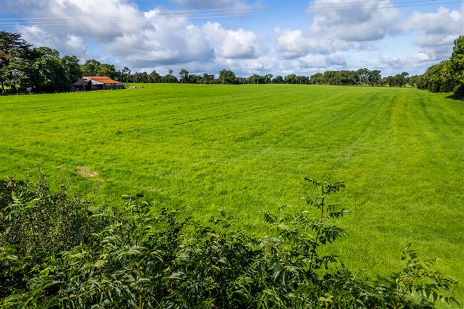 Hodgestown, Killucan, Westmeath