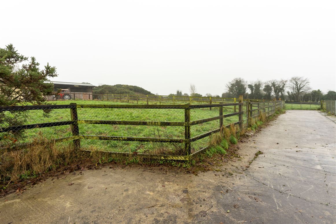 Circa 17 Acres Cullane South, Ballylanders, Limerick Circa 17 Acres Cullane South, Ballylanders, Limerick
