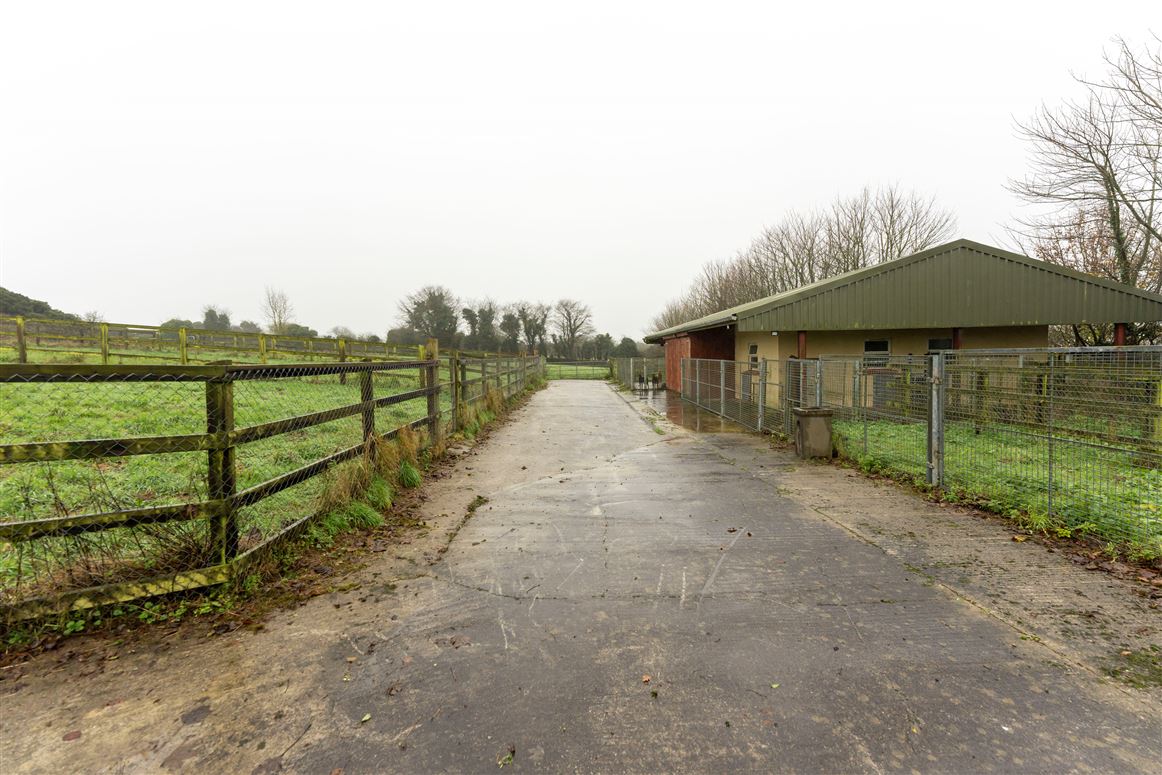 Circa 17 Acres Cullane South, Ballylanders, Limerick Circa 17 Acres Cullane South, Ballylanders, Limerick