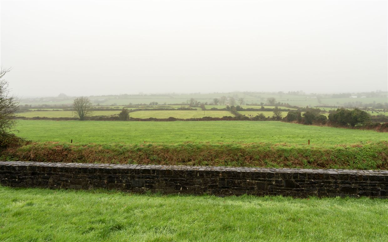 Circa 17 Acres Cullane South, Ballylanders, Limerick Circa 17 Acres Cullane South, Ballylanders, Limerick