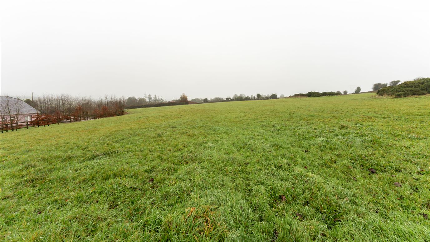 Circa 17 Acres Cullane South, Ballylanders, Limerick Circa 17 Acres Cullane South, Ballylanders, Limerick